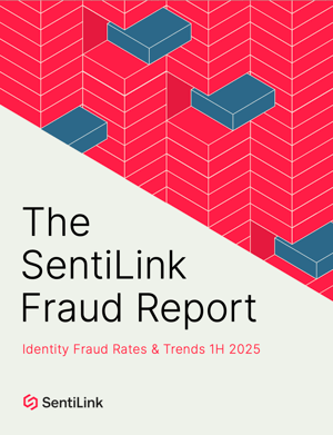 H1_2025_Fraud_Report_Cover