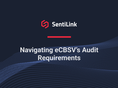 eCBSV Audit Requirements